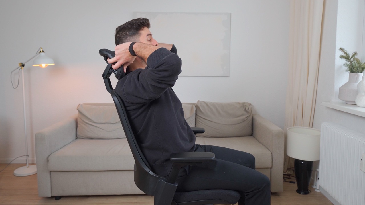 Ergotopia NextBack Pro